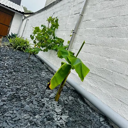 La Perle Charmante Maison Avec Parking Prive *