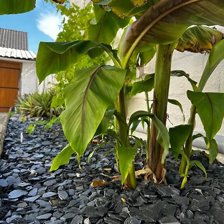 La Perle Charmante Maison Avec Parking Privé *