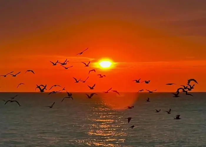 La Perle Charmante Maison Avec Parking Prive *