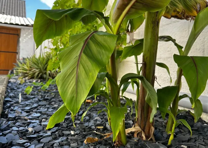 La Perle Charmante Maison Avec Parking Prive *